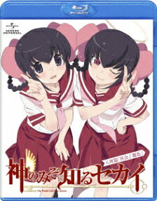 神のみぞ知るセカイ