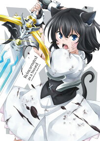 転生したら剣でした