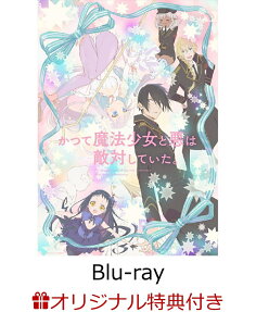 かつて魔法少女と悪は敵対していた。