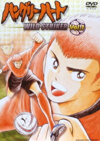 ハングリーハート WILD STRIKER