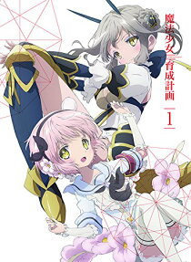 魔法少女 育成計画