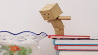Le Danboard