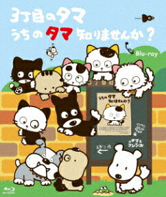 3丁目のタマ うちのタマ知りませんか?