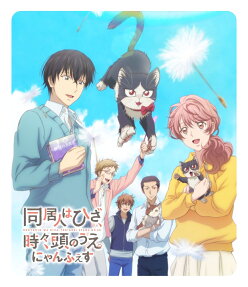 同居人はひざ、時々、頭のうえ。