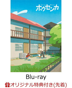 ホウセンカ