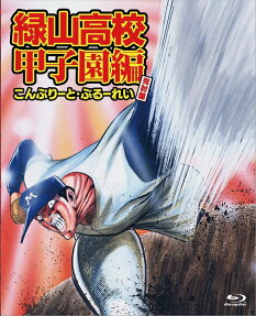 緑山高校 甲子園編