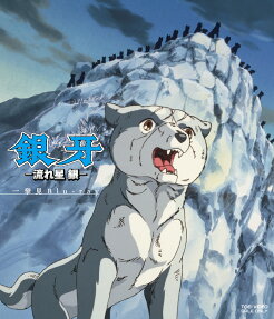 銀牙 流れ星銀