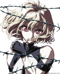 クロスアンジュ 天使と竜の輪舞