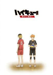 ハイキュー!! 終わりと始まり