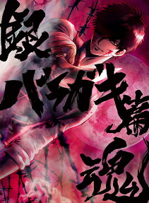 Gintama on Theater 2D: Baragaki-hen