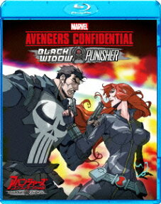 Avengers Confidential: Black Widow & Punisher